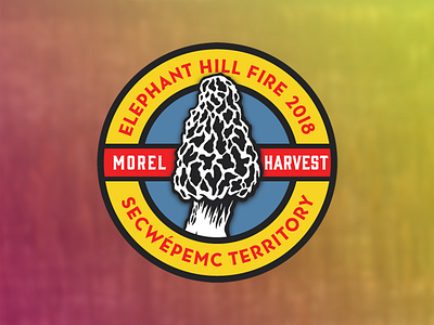 Elephant Hill Fire - Morel Harvest Permit Decal decal illustration morel mushroom permit secwepemc