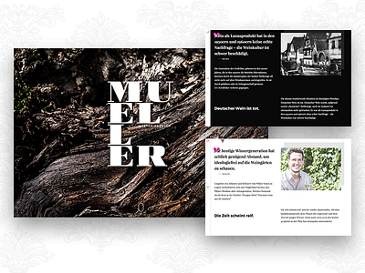 MUELLER – History of a German Wine animation dorfjungs karlsruhe landingpage minimal palatine parallax ui ux webdesign wine yummy stories