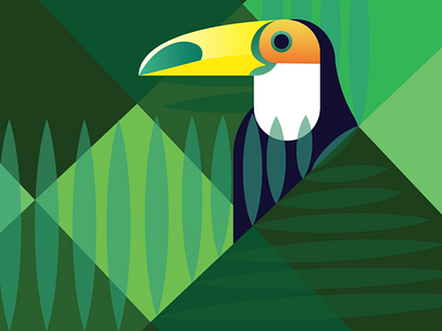 Toucan Bird design graphic design illustration vector