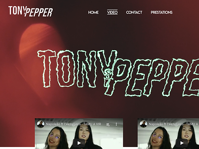 Ui design & Logo Tony&Pepper design logo ui