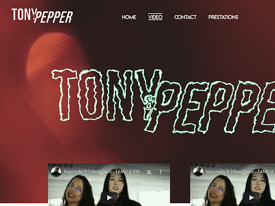 Ui design & Logo Tony&Pepper