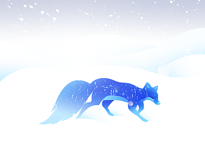 Snow Fox