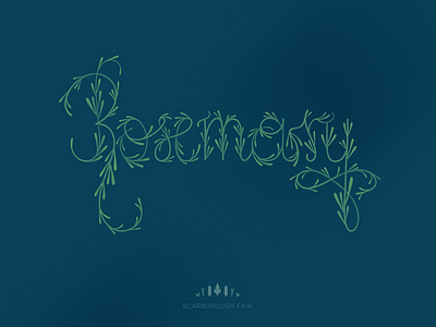 Scarborough fair #3: Rosemary floral lettering rosemary typography