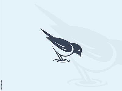 Bird Logo animal bird design logo logodesign logomark ripple water wave