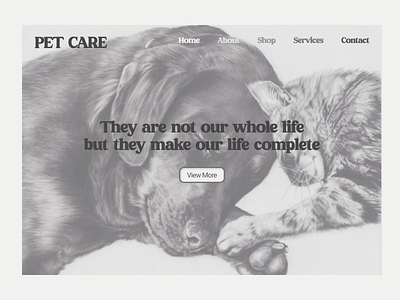 Pet Care - Hero Image design ui ux