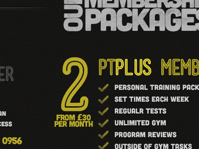 Price Packages Triptych graphic design typography ux design web design