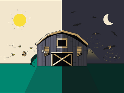 Day vs. Night with a BatBnB barn bat house bats bugs butterfly day farm mosquito night