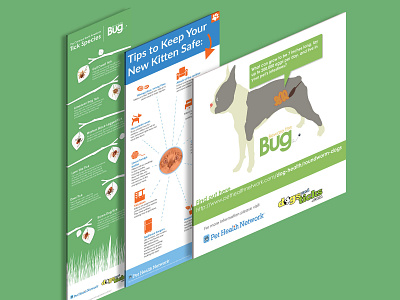 Infographics brand cat dog graphicdesign infographics vectorart