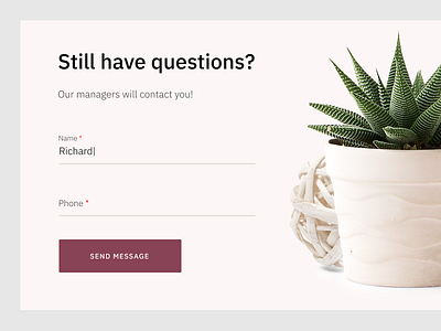 Message Form | UI card clean colors contact us interaction message form minimalism plants send ui ux white