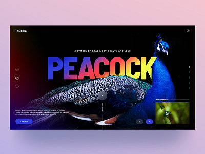 The Bird - Web UI app design bird color colorful header india landing page minimal national peacock typography ui ux web website