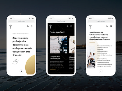 Meris Refreshed LP – responsive