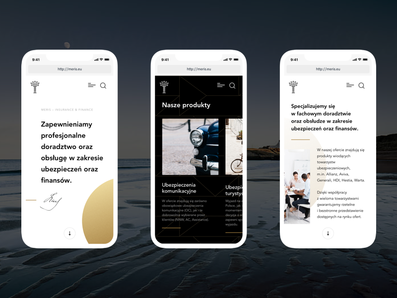 Meris Refreshed LP – responsive website ui ux onepage business finances responsive landingpage mobile