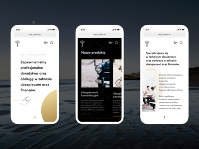Meris Refreshed LP – responsive