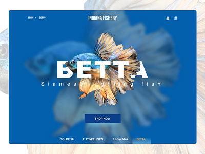 Fishery online store - web betta design ecommerce fish fishery ui web web design web development