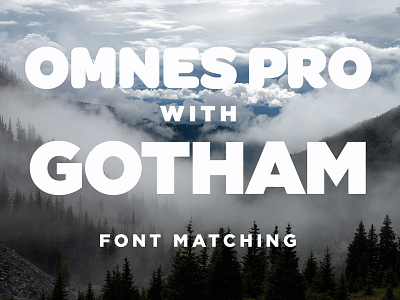 Font Matching fonts gotham landscape matching nature omnes test type typography
