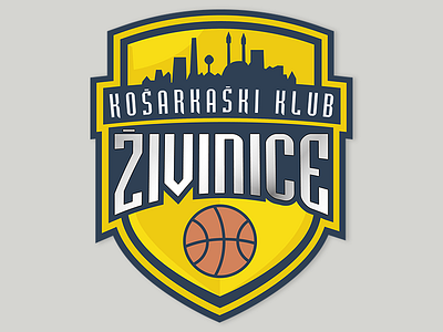 Basketball team logo