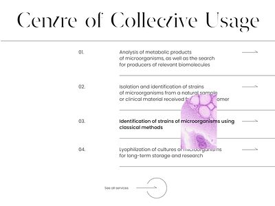 CCU Institute Website Redesign Concept desktop grid institute medicine science ui ux website