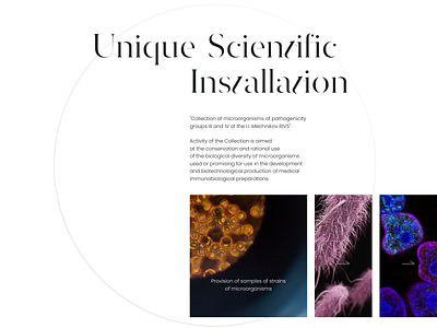 The part of the main page of the RIVS project desktop institute medicine science ui ux web web design website