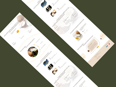 Landing Page about coconut oil coconut design freelance landing ui ux web