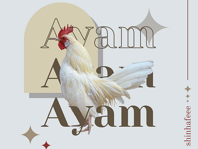 Ayam design illustration