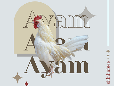 Ayam