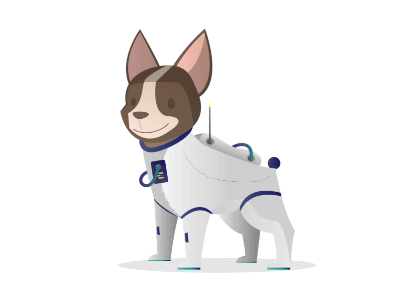 Spacedog 2d animation after effects dog space