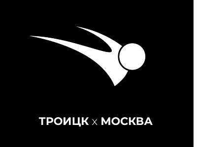 Swimming team logo branding graphic design logo
