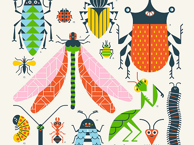 Insects! animal illustration bugs character illustration dragon fly insect illustration insects insects poster loulou tummie loulou and tummie schoolposter vector illustration
