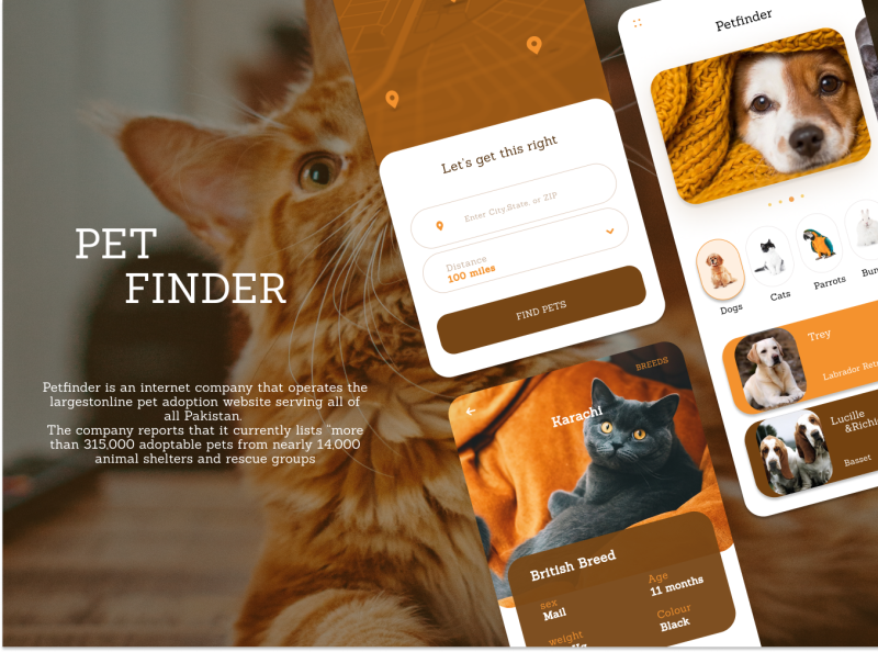 PET FINDER by sadia saleem on Dribbble