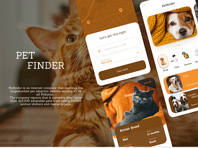 PET FINDER