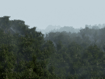 Forest Landscape 3d art 3d trees 3d visual blender blender3d blue fog forest landscape maxon maxonc4d mist photograph sky wildlife