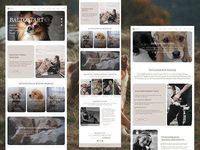 Inspirational landing page design for a dog training center