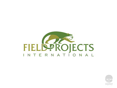 Field Project International logo animal logo branding conservation environment identity lion monkey logo design logomark monkey peru