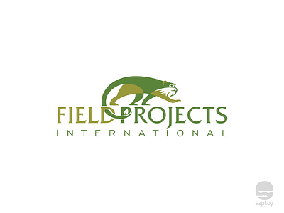 Field Project International logo