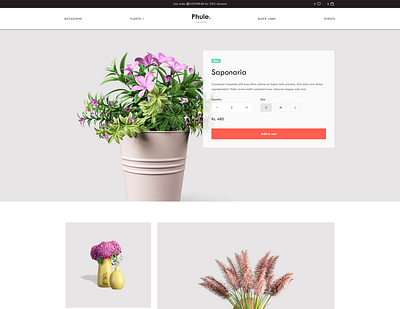 Ecommerce Website for Flowers Sale app branding design graphic design illustration logo typography ui ux vector