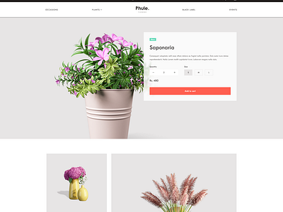 Ecommerce Website for Flowers Sale