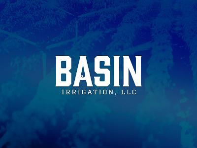 Basin Irrigation, LLC basin font irrigation logo logotype typeface water wordmark