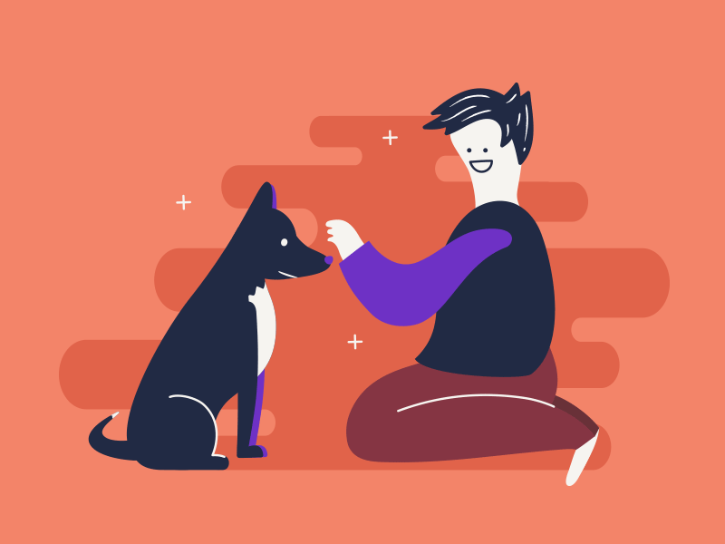 Tips for Pets dogs illustration orange pets