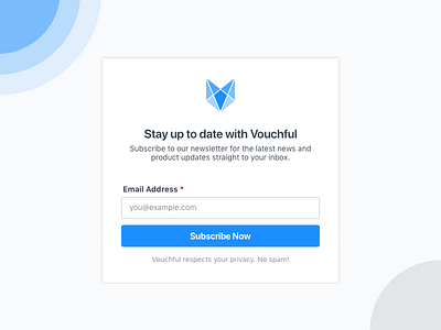 Vouchful Simple Newsletter Subscription Form