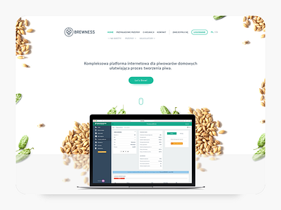 Brewness - hero image beer brew clean hops landing page lp malt simple ui visual design website white