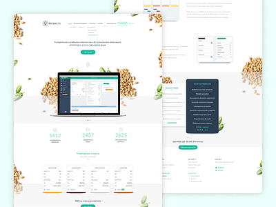 Brewness - landing page bright clean homepage landing page minimalistic product page simple ui visual design web website white