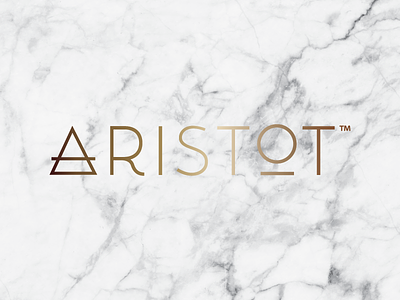 Aristot for DockATot baby brand expensive fancy gold logo marble