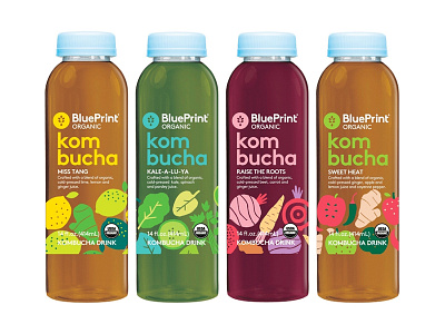 Illustration for BluePrint's new kombucha drinks bottles branding colorful drink flat color fresh friendly fruit illustration packaging vegetables