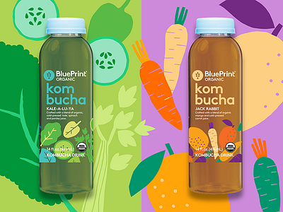 Kombucha illustration