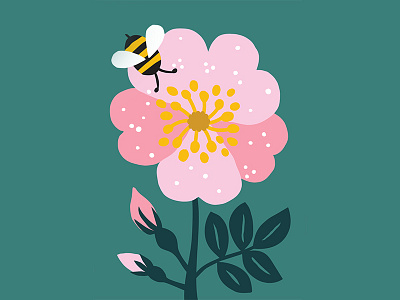 Scotch Rose bee bees and flowers flat color florals flower illustration leena kisonen nature nature illustration rose summer