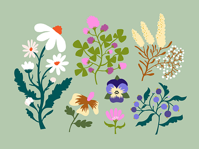 Flower sketches