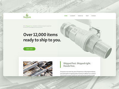 Bergquist Inc business green industrial industry store web webflow website