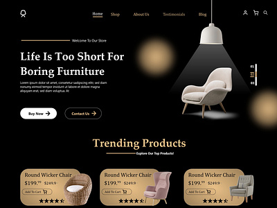 Modern Furniture Landing Page Design