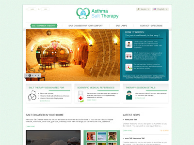 Asthma Salt Therapy asthma therapy web design web development