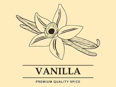 Vanilla brand branding cartoon design essential oils food graphic design illustration illustrator logo poster premium spices spice vanilla vector